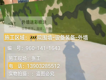 舟山 迷彩漆喷涂价格(按平方米计费)