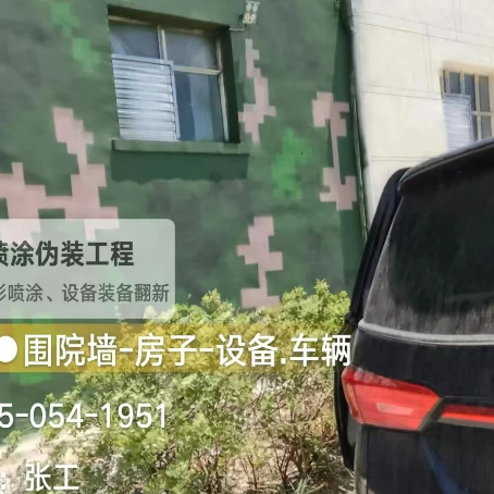舟山数码迷彩漆施工